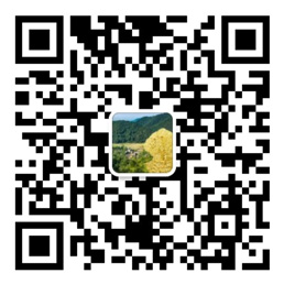 网信彩票网官方网站